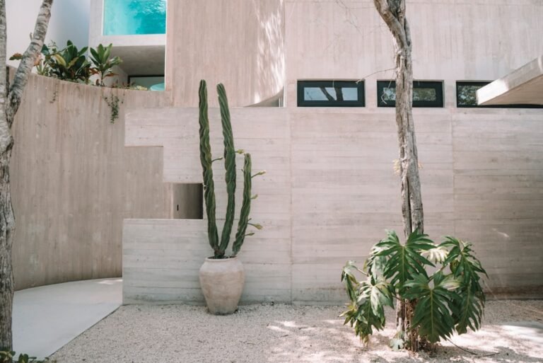 Mortgage Rates in Mexico City 2024: Current Rates & Monthly Payments - comprehensive 2026 data and analysis